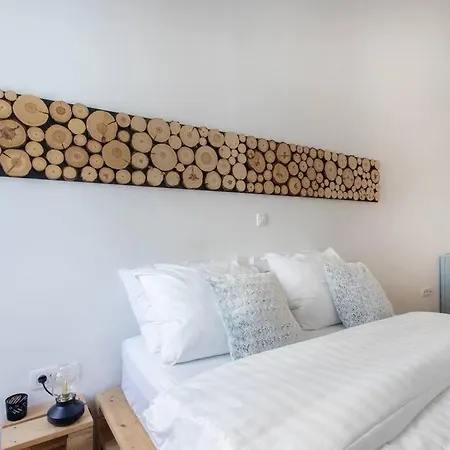 Daire Spacious In Historic Centre & Free Parking Ljubljana