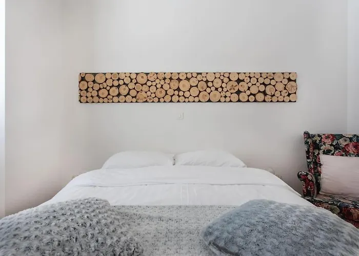 Spacious In Historic Centre & Free Parking Apartament Lublana