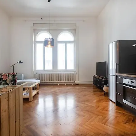 Spacious In Historic Centre & Free Parking * Lublana