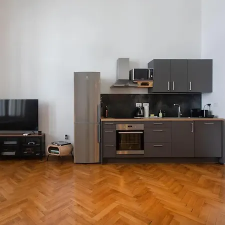 Apartment Spacious In Historic Centre & Free Parking Ljubljana